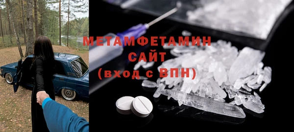 прущие грибы Белокуриха