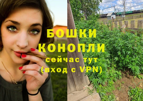 прущие грибы Белокуриха