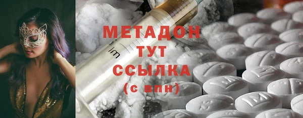 прущие грибы Белокуриха