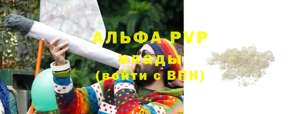 прущие грибы Белокуриха