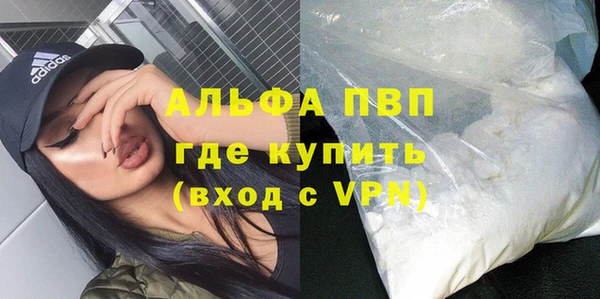 прущие грибы Белокуриха
