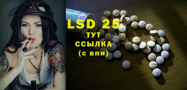 прущие грибы Белокуриха