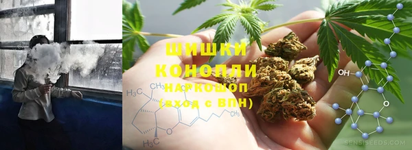 прущие грибы Белокуриха