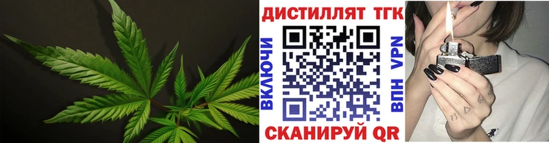 купить закладку  Чкаловск  ТГК THC oil 