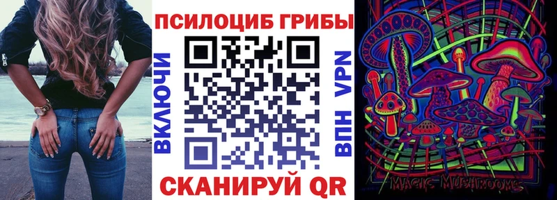 Псилоцибиновые грибы ЛСД  Чкаловск 