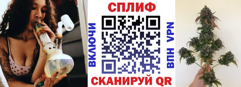 Канабис SATIVA & INDICA  Чкаловск 